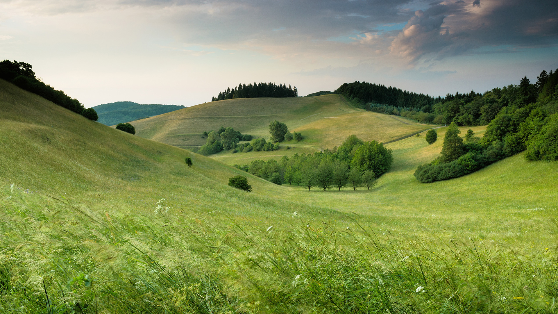 green-hills-with-forest-under-cloudy-sky-during-daytime