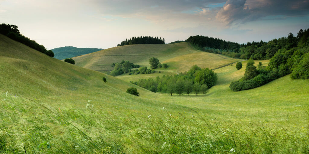 green-hills-with-forest-under-cloudy-sky-during-daytime
