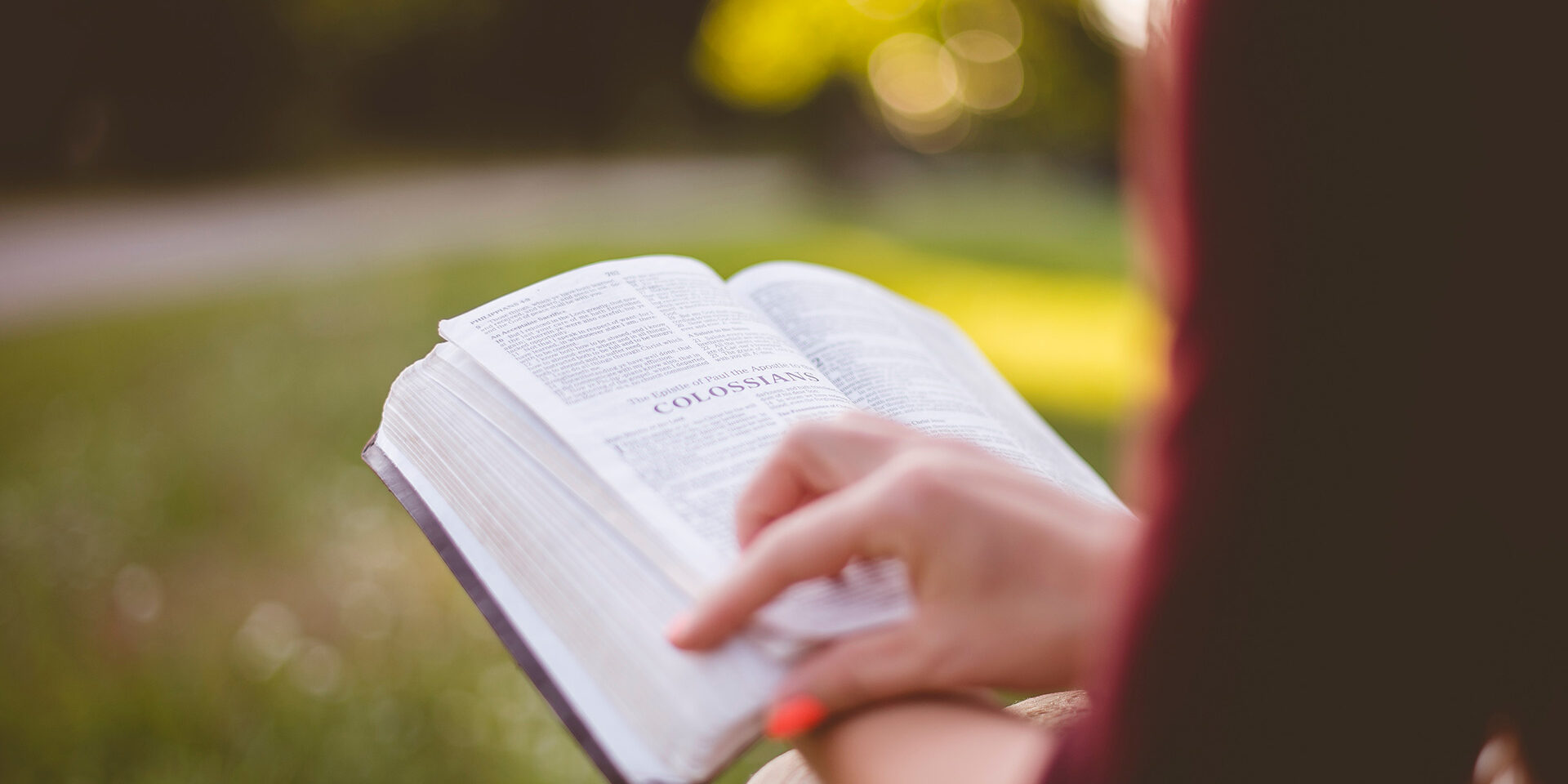 person-reading-Colossians